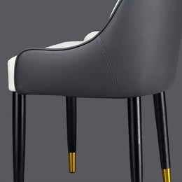 Modern Dining Chair with Wood Legs