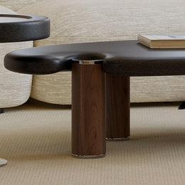 Minimalist Coffee Table Set