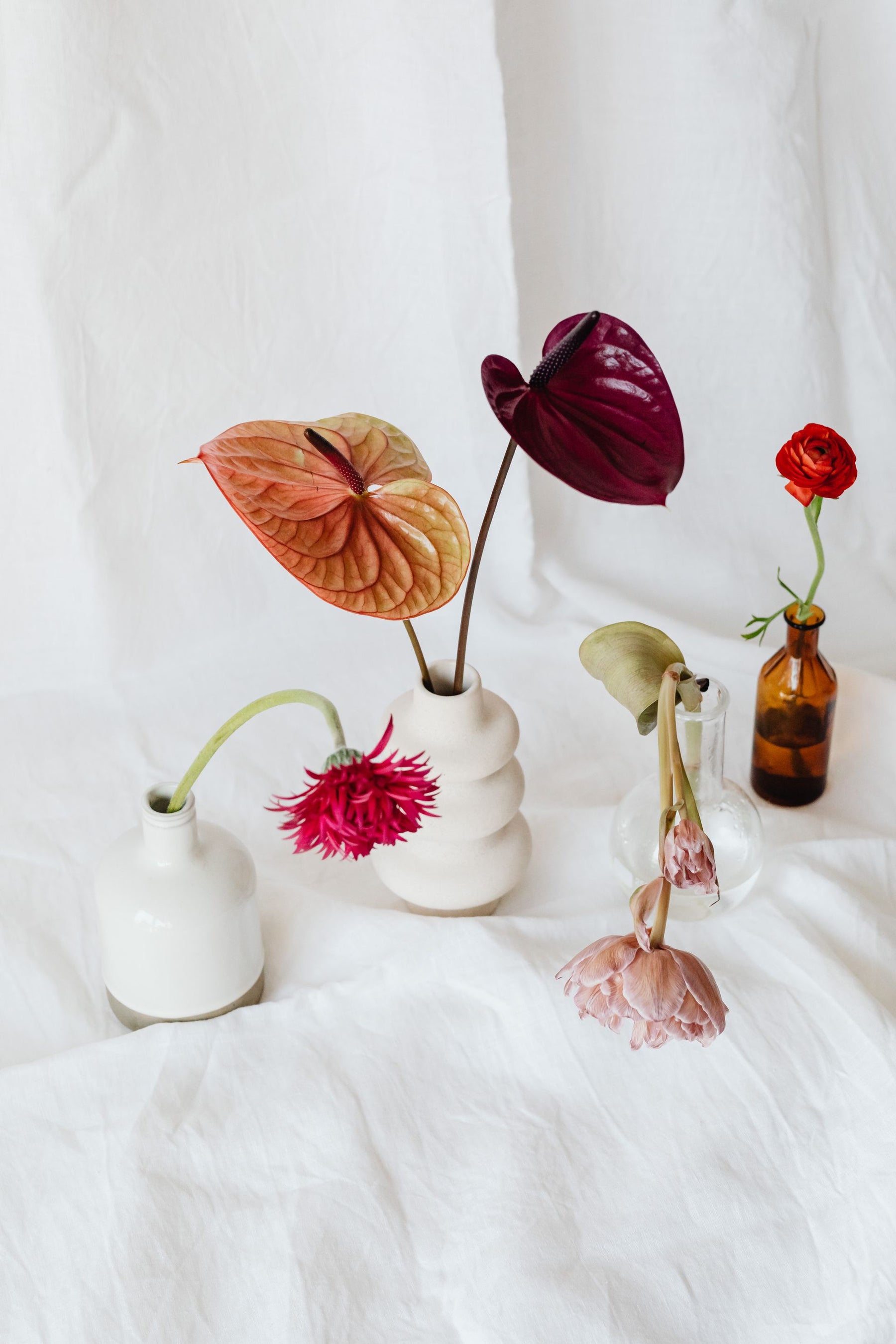 Sculptural Vases in Soft Bloom